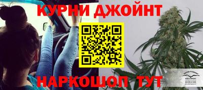 гашик Краснодар