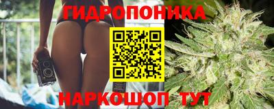 гашик Краснодар